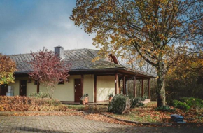 Gostar, Jelenia Góra